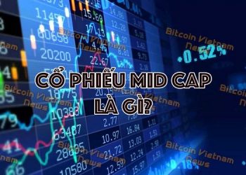 Cổ phiếu midcap là gì & danh sách cổ phiếu Midcap 2022 tốt nhất