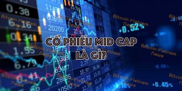 Cổ phiếu midcap là gì & danh sách cổ phiếu Midcap 2022 tốt nhất