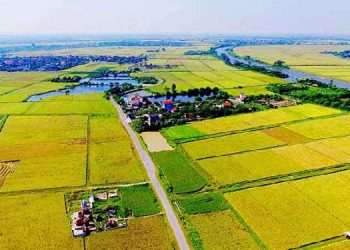 Đất BHK là gì? Quy hoạch đất BHK là gì?