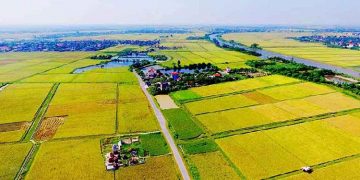 Đất BHK là gì? Quy hoạch đất BHK là gì?