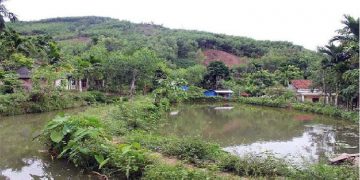 Đất ao là đất gì? Đất ao là loại đất gì?