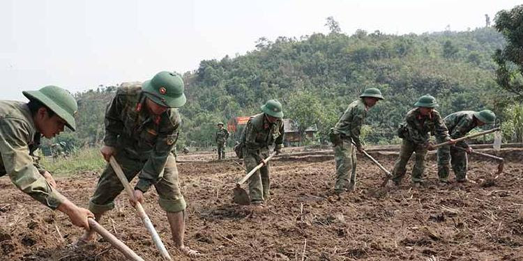 Đất khai hoang là gì? Khai khẩn đất hoang là gì?