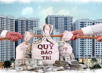 Phí bảo trì chung cư là gì? Phí bảo trì chung cư ở Hà Nội