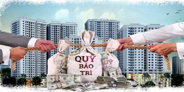 Phí bảo trì chung cư là gì? Phí bảo trì chung cư ở Hà Nội