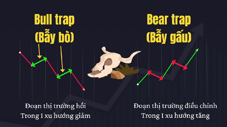 Từ lóng chứng khoán cơ bản, bẫy bò và bẫy gấu