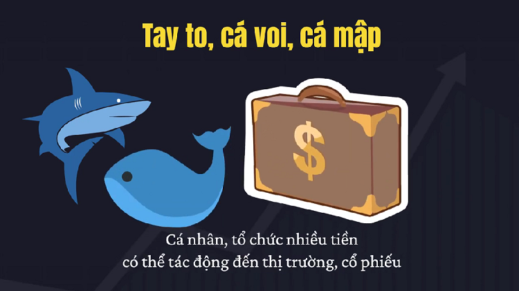 Từ lóng trong chứng khoán, cá mập, tay to