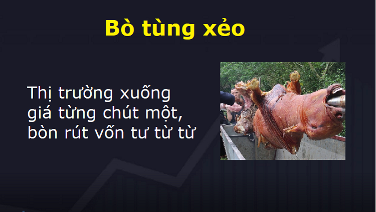 Các từ lóng trong chứng khoán, Bò tùng xẻo