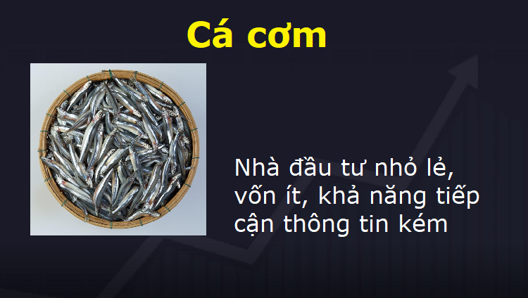 Từ lóng chứng khoán, cá cơm