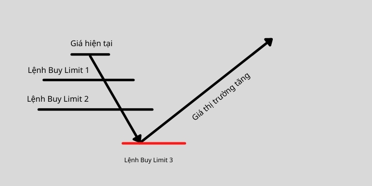 Buy Limit là gì? Lệnh chờ Buy Limit trong Forex là gì?