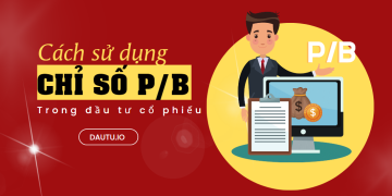 Một số ứng dụng cụ thể của chỉ số P/B