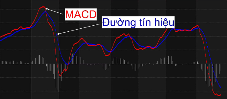 Chỉ báo MACD là gì?