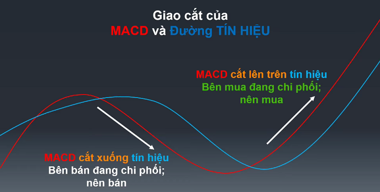 Hướng dẫn giao dịch với đường MACD, đường MACD và đường tín hiệu cắt nhau