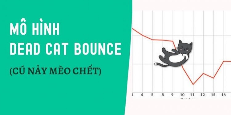 Bull trap là gì? Phân biệt Bull trap và dead cat bounce