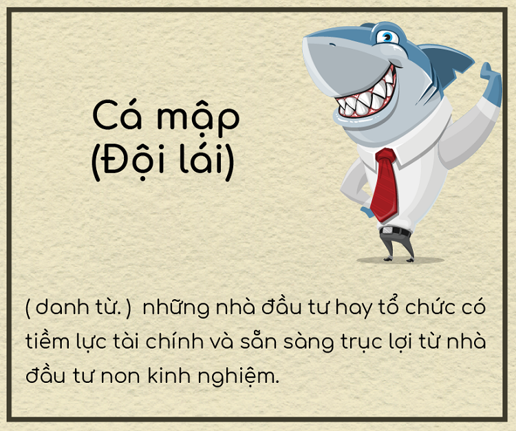 Đội lái chứng khoán là gì? Đội lái chứng khoán còn được gọi là cá mập