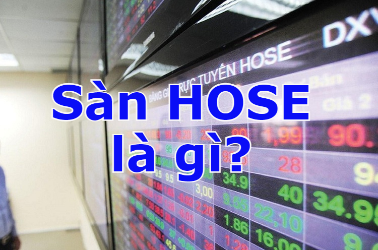 Sàn Hose là gì, ở đâu? Sàn Hose có bao nhiêu mã chứng khoán?