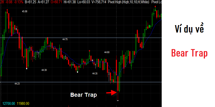 Bear Trap là gì? Ví dụ về Bear Trap