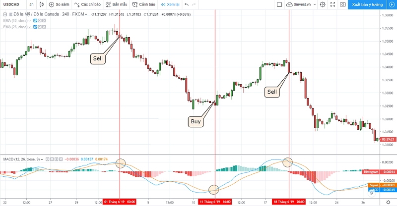 Ví dụ về đường MACD và đường Signal cắt nhau