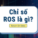 Chỉ số ROS là gì? Ý nghĩa chỉ số ROS trong chứng khoán
