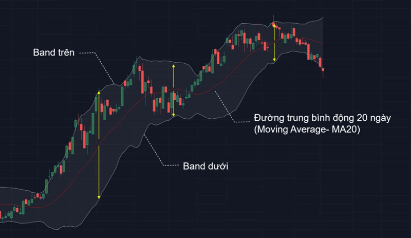 Bollinger Band là gì? Cấu tạo chỉ báo Bollinger Band