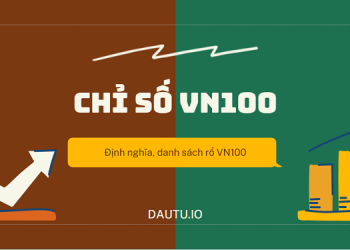 Chỉ số Vn100 là gì?
