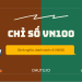 Chỉ số Vn100 là gì?