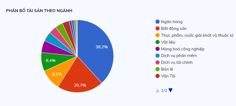 vCác quỹ ETF ở Việt Nam. Phân bổ danh mục đầu tư của FUEVN100