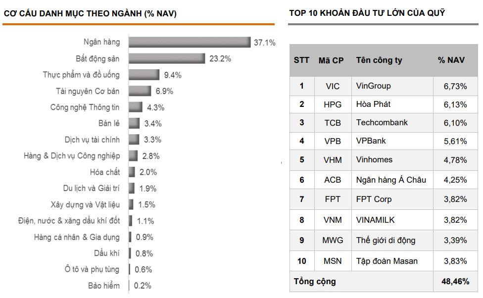 Các quỹ ETF ở Việt Nam, Cơ cấu danh mục quỹ FUEIP100