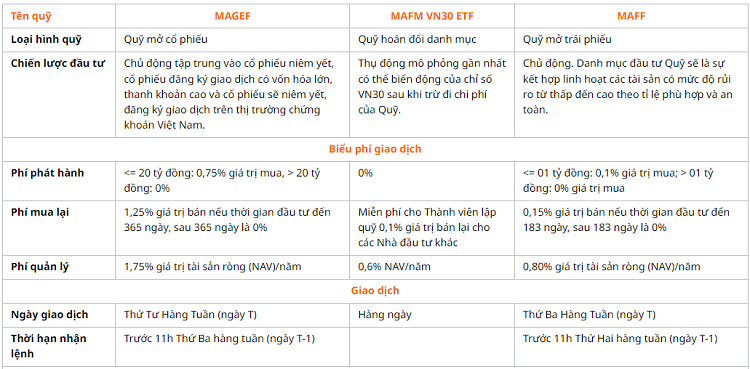 Các quỹ đầu tư tại Việt Nam hiện nay