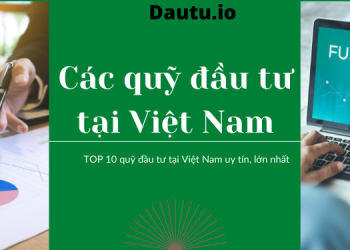 Danh sách các quỹ đầu tư tại Việt Nam uy tín, lớn nhất