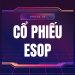 Cổ phiếu ESOP là gì, quy chế phát hành