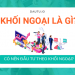 Khối ngoại là gì? Có nên đầu tư theo khối ngoại?
