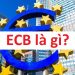 ECB là gì