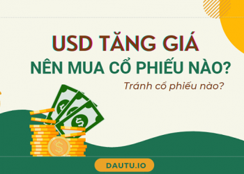 USD tăng giá, nên mua cổ phiếu ngành nào, tránh nhóm nào?
