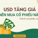 USD tăng giá, nên mua cổ phiếu ngành nào, tránh nhóm nào?