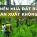 Có nên mua đất rừng sản xuất không