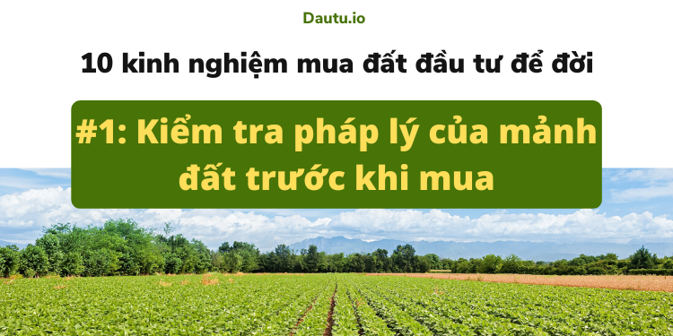 Kinh nghiệm mua đất đầu tư, đầu tư bđs