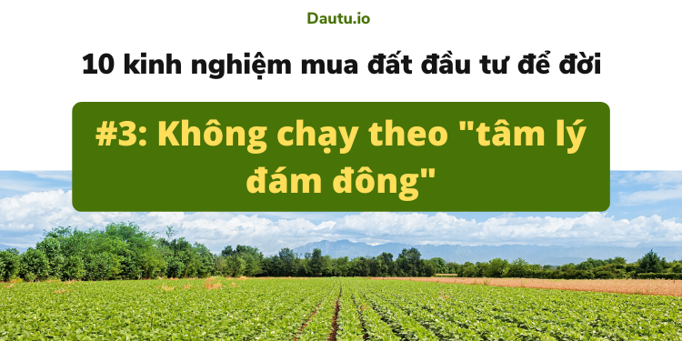 Kinh nghiệm mua đất đầu tư