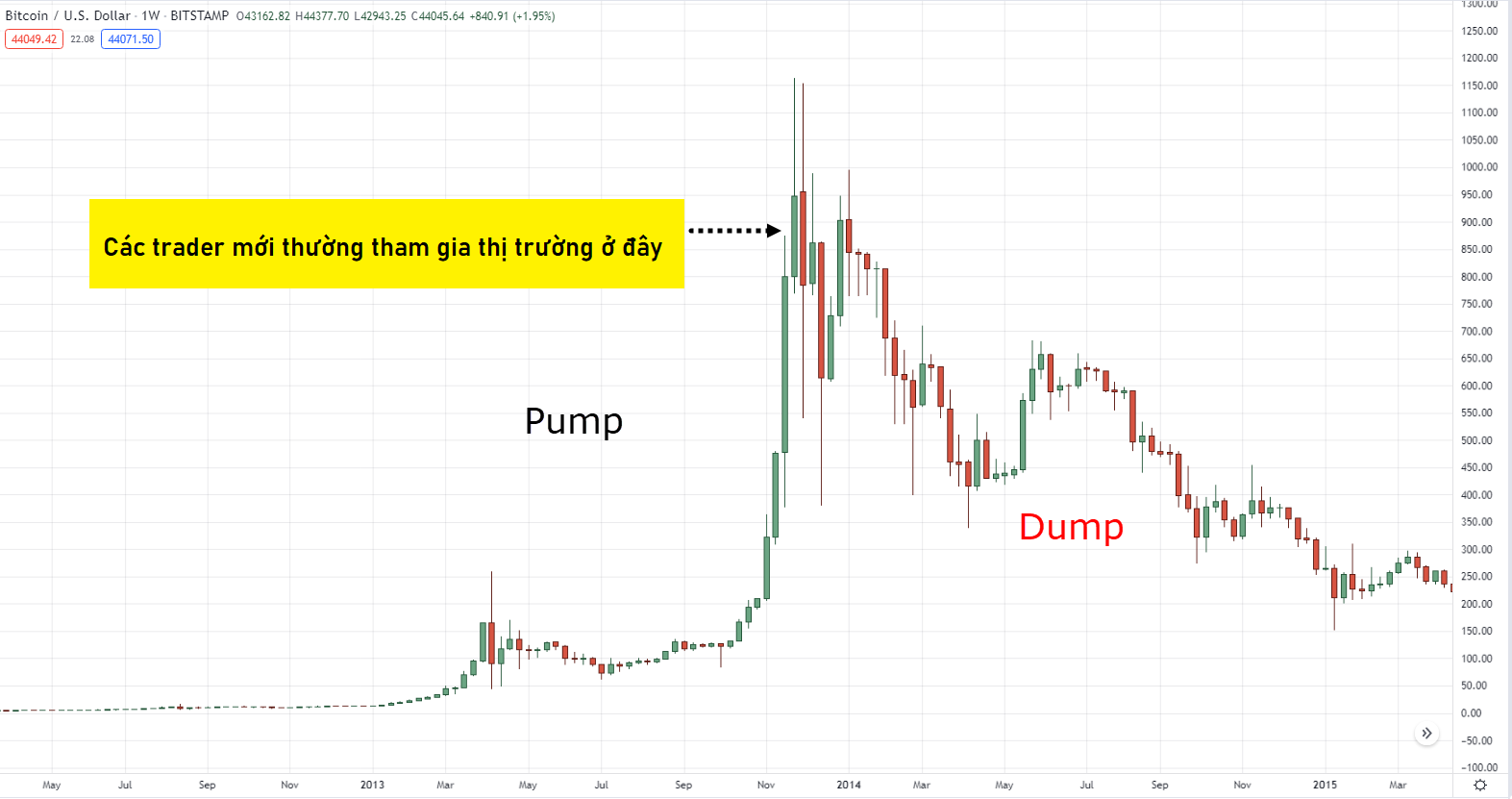 Pump and Dump là gì? Ví dụ về Pump and Dump