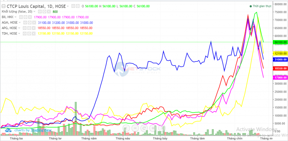 Pump and Dump là gì? Cổ phiếu họ Louis