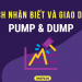 Pump and Dump là gì?