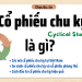 Cổ phiếu chu kỳ là gì? Những mã cổ phiếu chu kỳ tại Việt Nam