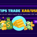 XAU là gì? 8 mẹo trade XAU/USD (vàng) hiệu quả nhất