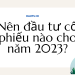 Nên đầu tư cổ phiếu nào cho năm 2023 lợi nhuận cao nhất?