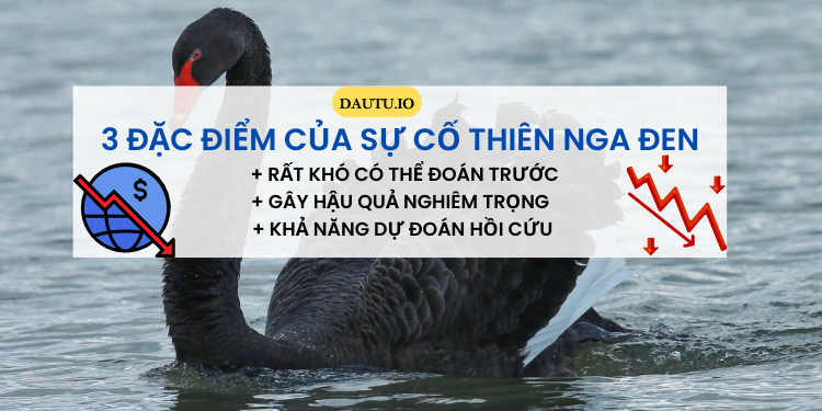 Sự cố, sự kiện thiên nga đen là gì?