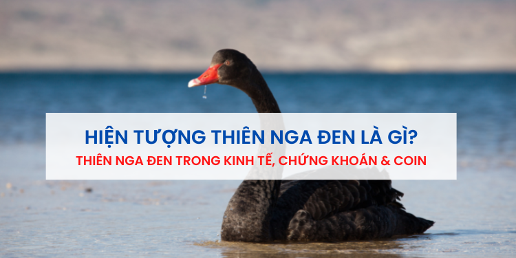 Thiên nga đen là gì? Hiện tượng thiên nga đen trong kinh tế, chứng khoán và coin