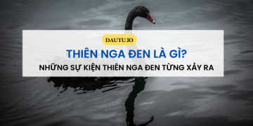 Thiên nga đen là gì? Những sự kiện thiên nga đen từng xảy ra trong lịch sử