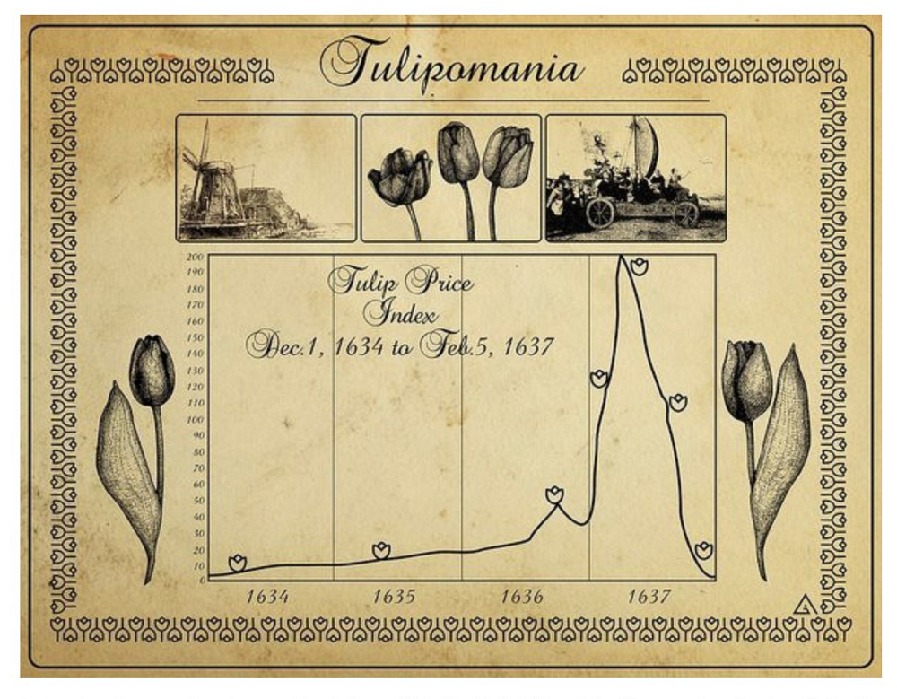 Bóng bóng kinh tế là gì? Bong bóng hoa tulip
