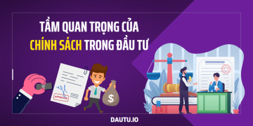 Chính sách và tầm quan trọng của nó trong đầu tư