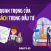 Chính sách và tầm quan trọng của nó trong đầu tư