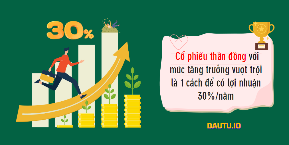 Một CP siêu tăng trưởng cũng có thể chia ra mức đạt 30%/năm